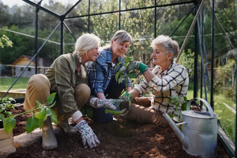 senior femme qui jardinent